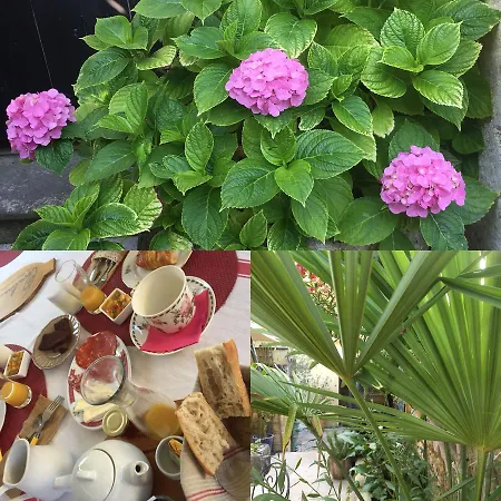 Guest house Les Chambres D'ovaline Saint-Emilion
