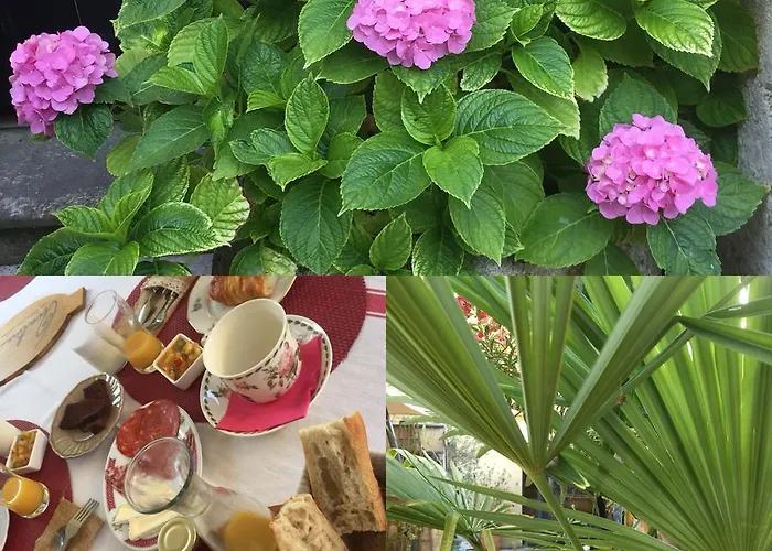 Pensionat Les D'ovaline Saint-Émilion