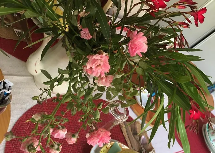 Les D'ovaline Pensionat Saint-Émilion