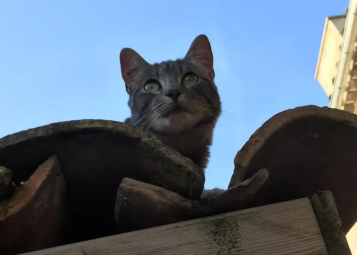 Pensionat Les D'ovaline 4*